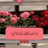user45011792821212