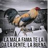 user8387210161401