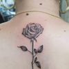 amira.malak672
