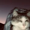 nnnn_157