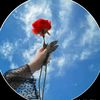 soomro.12352