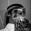 hhh511_hh