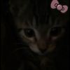 kateeee9481