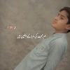 zamin.ali681