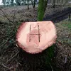 hector.fernandez855
