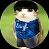 lini_monit