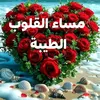 user41126592458