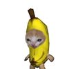 ilove_animalss8