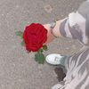 lina_ka.10