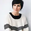 alla_svet