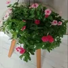lusiane555