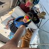 c_sillito06