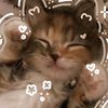 v1aww