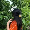zx_iem