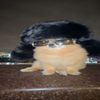 puslka4