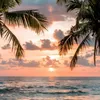 shaad_59100