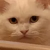 lrlska1