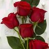 daouda.toure414