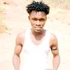 barma686