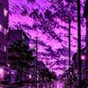 3x_bern