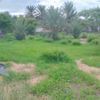 mouhamed.mahmod.a