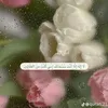 fati234886