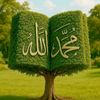 muhamad_04040