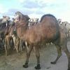 user6106222821591