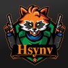 hsynv064