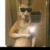 user10224581