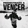meno.vapor