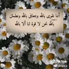 user997521808