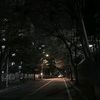 nobody___737