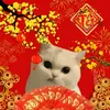 th.thao515