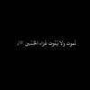 user5817559808373