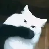 k3nt4_109