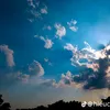 tuimuonduocvip8