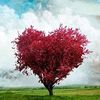 Meaningful Life