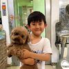 pin.qihan1