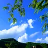 kh_trng244415