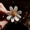 quinzha_032