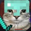 its_ashz