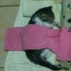 messilover_10045