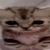 eujcxrs