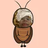 yeurivals