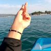 lina.25955