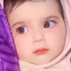 shahanshah.naqvi7