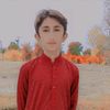 malik g