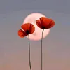 mn.nhi129
