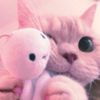 cittmupp3